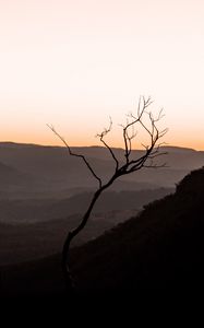 Preview wallpaper tree, hills, sunset, horizon, silhouette