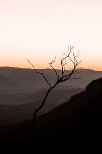 Preview wallpaper tree, hills, sunset, horizon, silhouette