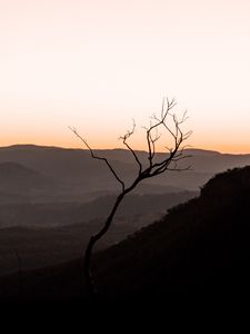 Preview wallpaper tree, hills, sunset, horizon, silhouette