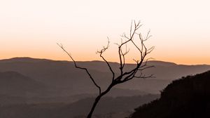 Preview wallpaper tree, hills, sunset, horizon, silhouette