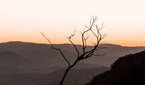 Preview wallpaper tree, hills, sunset, horizon, silhouette