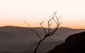 Preview wallpaper tree, hills, sunset, horizon, silhouette