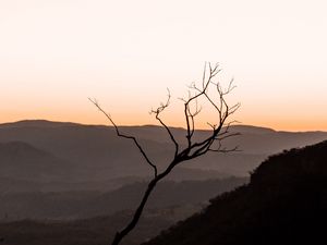 Preview wallpaper tree, hills, sunset, horizon, silhouette