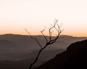 Preview wallpaper tree, hills, sunset, horizon, silhouette