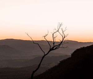 Preview wallpaper tree, hills, sunset, horizon, silhouette