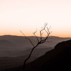 Preview wallpaper tree, hills, sunset, horizon, silhouette