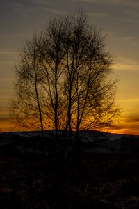 Preview wallpaper tree, hills, twilight, nature