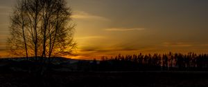 Preview wallpaper tree, hills, twilight, nature
