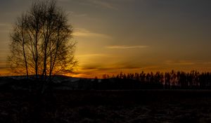 Preview wallpaper tree, hills, twilight, nature
