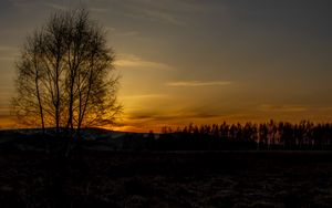 Preview wallpaper tree, hills, twilight, nature