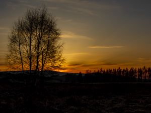 Preview wallpaper tree, hills, twilight, nature