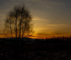 Preview wallpaper tree, hills, twilight, nature