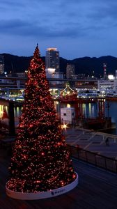 Preview wallpaper tree, holiday, port, ship, night, lights