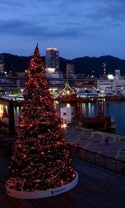 Preview wallpaper tree, holiday, port, ship, night, lights