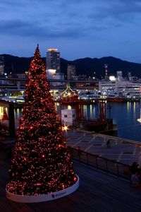 Preview wallpaper tree, holiday, port, ship, night, lights