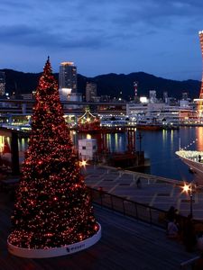 Preview wallpaper tree, holiday, port, ship, night, lights