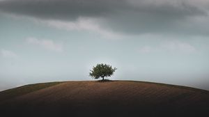Preview wallpaper tree, horizon, hill, sky