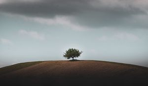 Preview wallpaper tree, horizon, hill, sky