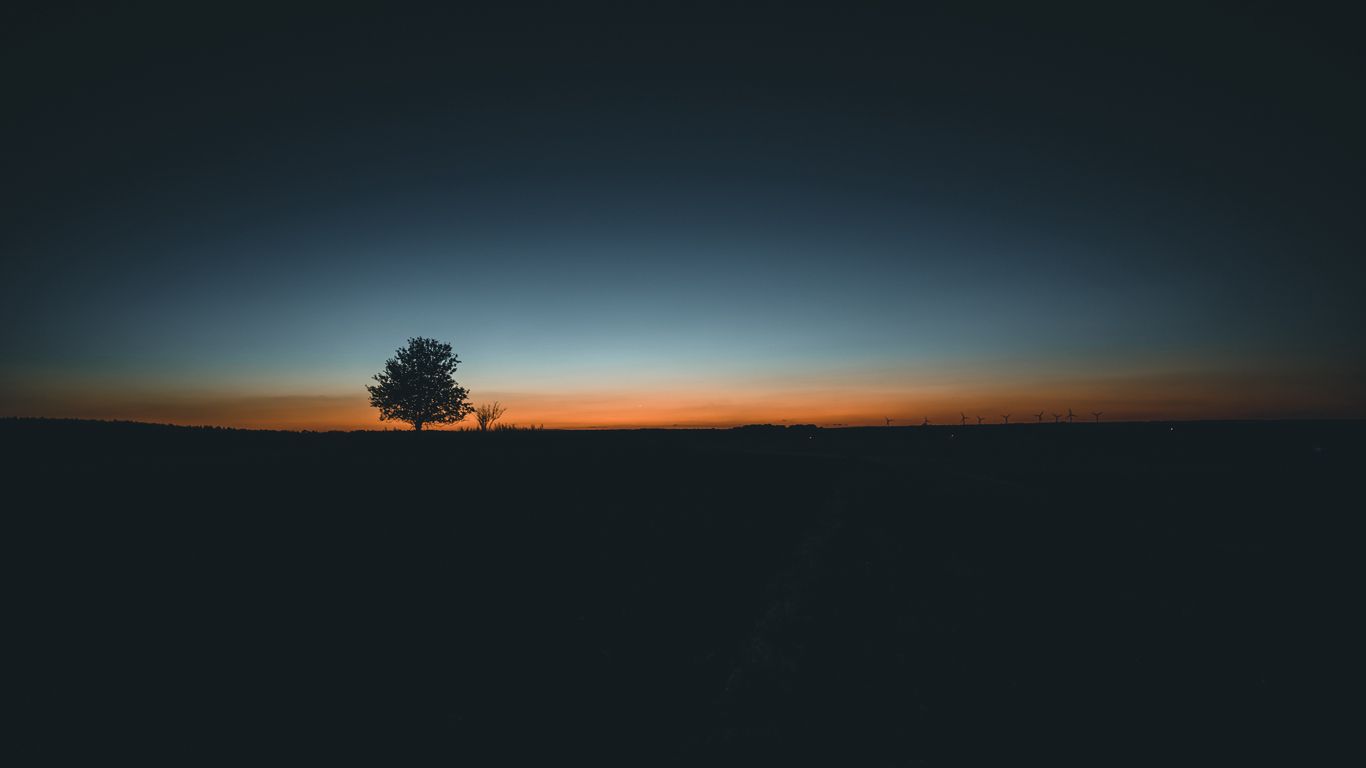 1366x768 Wallpaper tree, horizon, minimalism, sunset