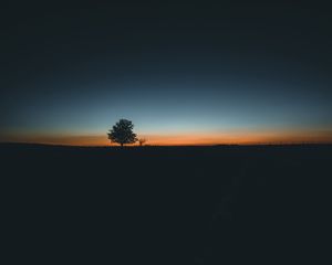 Preview wallpaper tree, horizon, minimalism, sunset