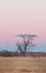 Preview wallpaper tree, horizon, minimalism, grass, clouds