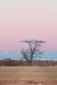 Preview wallpaper tree, horizon, minimalism, grass, clouds