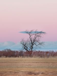 Preview wallpaper tree, horizon, minimalism, grass, clouds