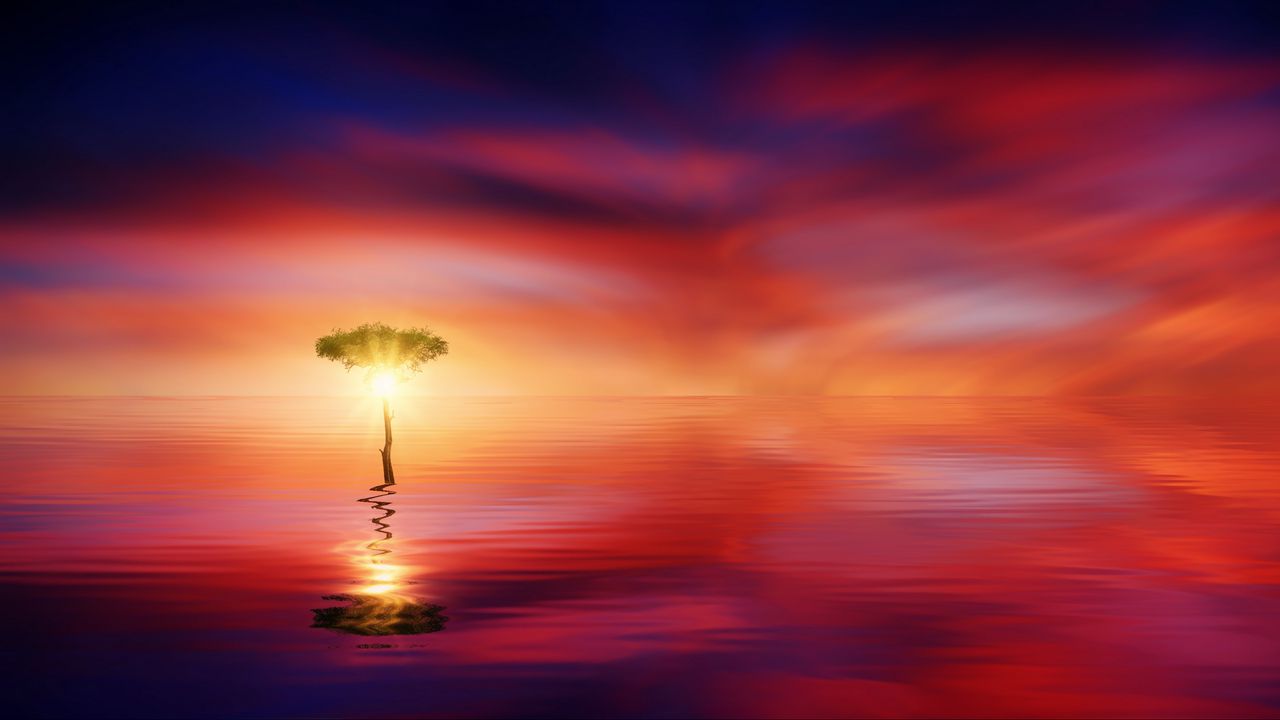 Wallpaper tree, horizon, reflection, sea hd, picture, image