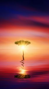 Preview wallpaper tree, horizon, reflection, sea