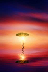 Preview wallpaper tree, horizon, reflection, sea