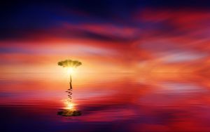 Preview wallpaper tree, horizon, reflection, sea