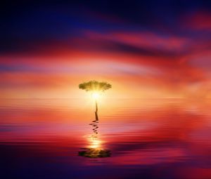 Preview wallpaper tree, horizon, reflection, sea