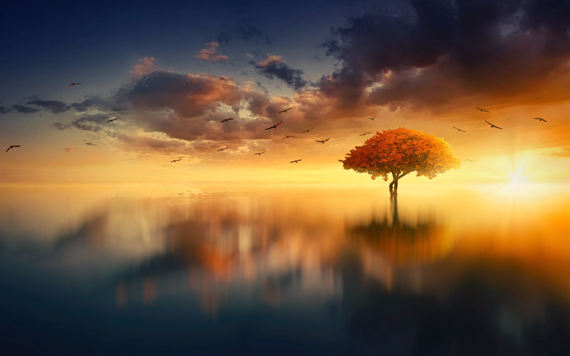 Download wallpaper 1920x1200 tree, horizon, sunset, photoshop, sea