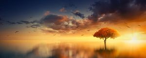Preview wallpaper tree, horizon, sunset, photoshop, sea
