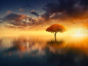 Preview wallpaper tree, horizon, sunset, photoshop, sea