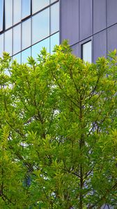 Preview wallpaper tree, house, building, facade