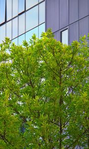 Preview wallpaper tree, house, building, facade
