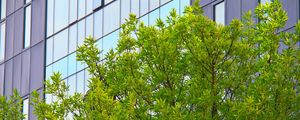 Preview wallpaper tree, house, building, facade