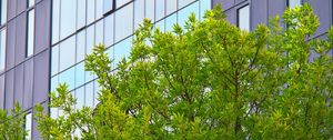 Preview wallpaper tree, house, building, facade