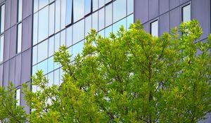 Preview wallpaper tree, house, building, facade