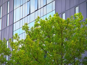 Preview wallpaper tree, house, building, facade