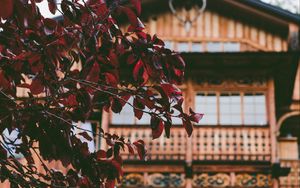 Preview wallpaper tree, house, leaves