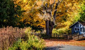 Preview wallpaper tree, house, leaves, dry, autumn