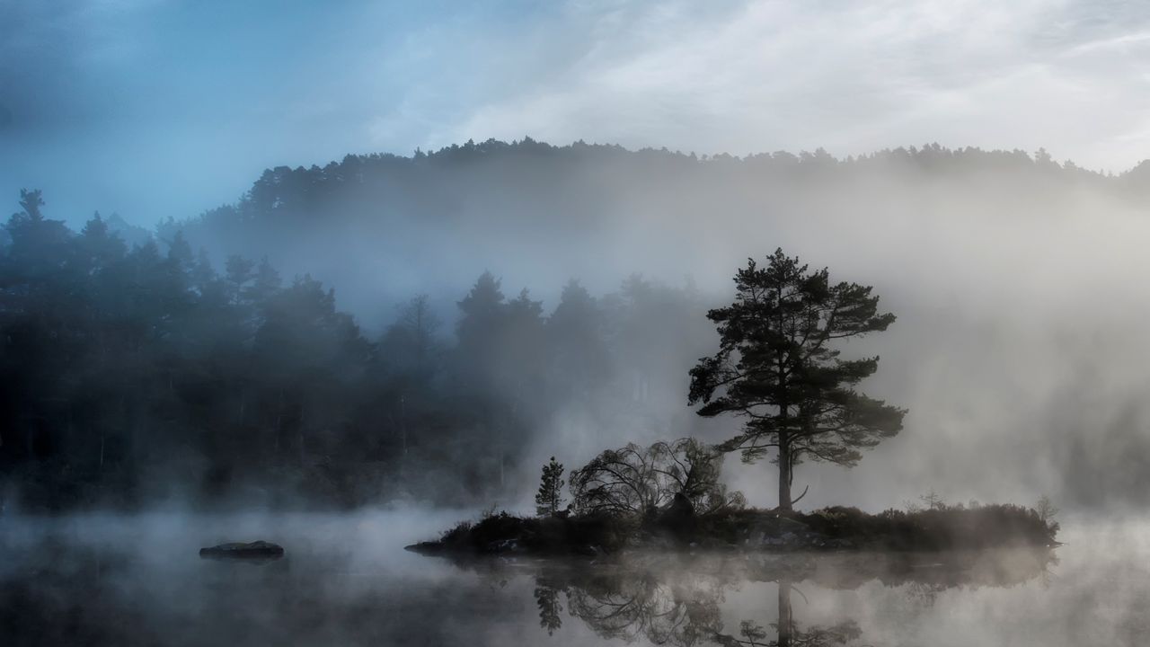 Wallpaper tree, island, reservoir, fog, mysterious