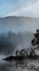 Preview wallpaper tree, island, reservoir, fog, mysterious