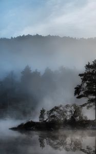 Preview wallpaper tree, island, reservoir, fog, mysterious