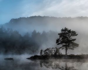 Preview wallpaper tree, island, reservoir, fog, mysterious