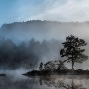 Preview wallpaper tree, island, reservoir, fog, mysterious