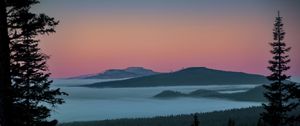 Preview wallpaper tree, lake, hills, silhouettes, night