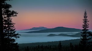 Preview wallpaper tree, lake, hills, silhouettes, night